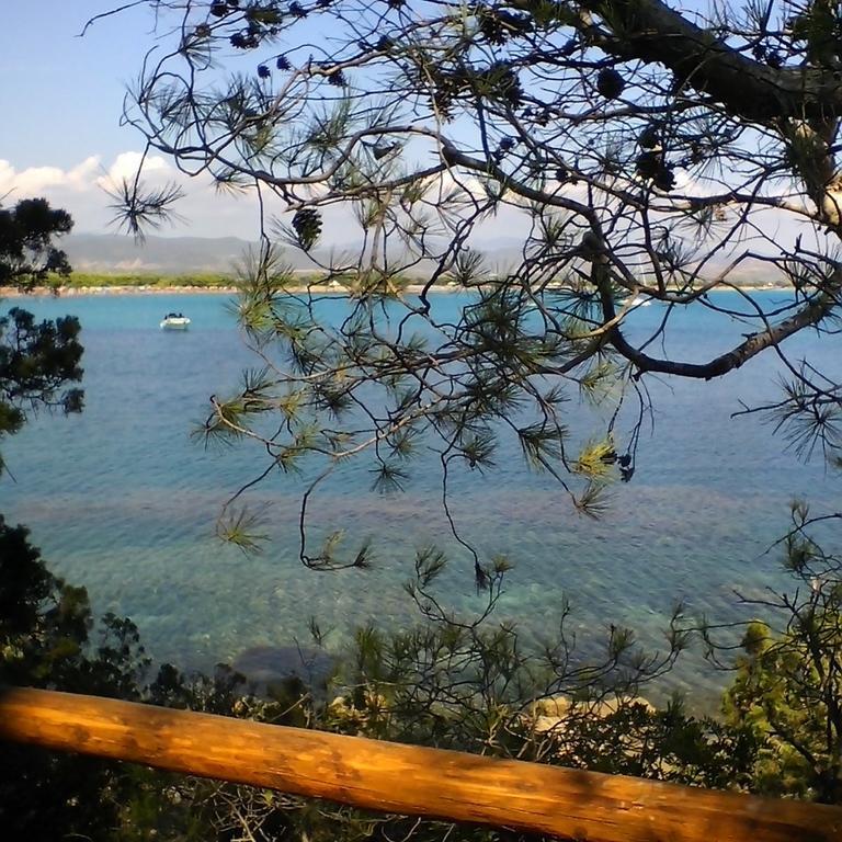 Domos Le Due Tuie Bed & Breakfast Piscinas Eksteriør bilde