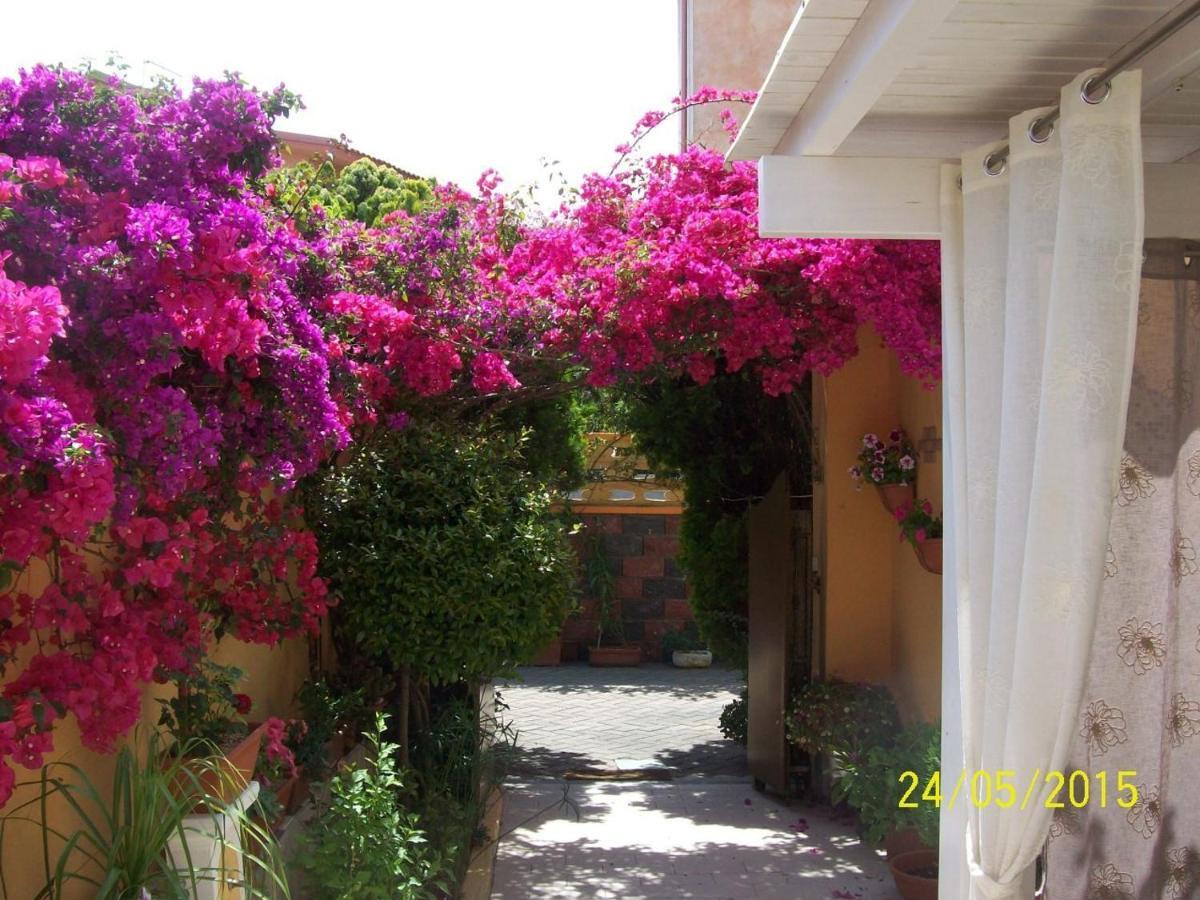 Domos Le Due Tuie Bed & Breakfast Piscinas Eksteriør bilde